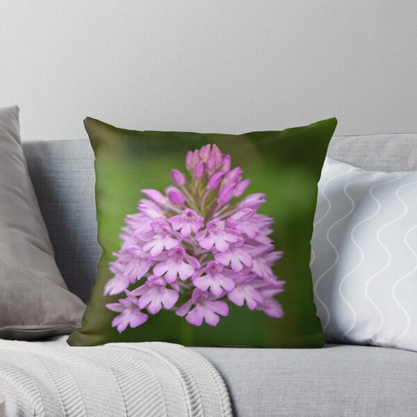 Item preview, Pyramidal Orchid ( Anacamptis pyramidalis ) designed and sold by ccullen222.