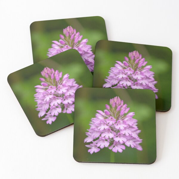 Item preview, Pyramidal Orchid ( Anacamptis pyramidalis ) designed and sold by ccullen222.