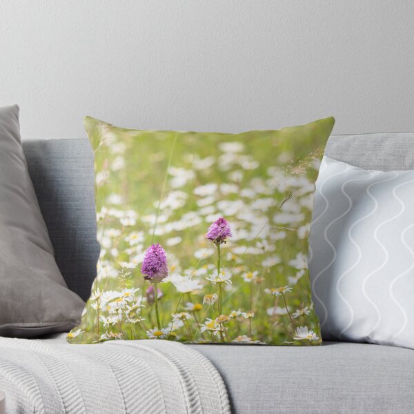 Item preview, Ox-eye Daisies ( Leucanthemum vulgare ) and Pyramidal Orchids ( Anacamptis pyramidalis ) in a Suffolk wild flower meadow designed and sold by ccullen222.