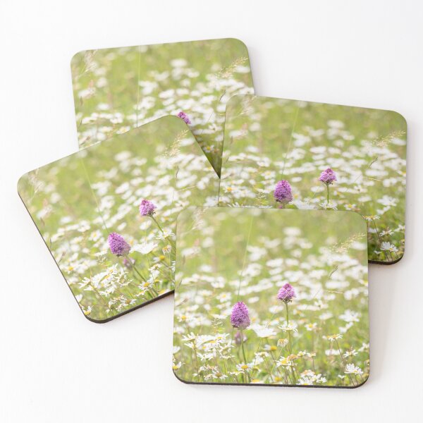 Item preview, Ox-eye Daisies ( Leucanthemum vulgare ) and Pyramidal Orchids ( Anacamptis pyramidalis ) in a Suffolk wild flower meadow designed and sold by ccullen222.