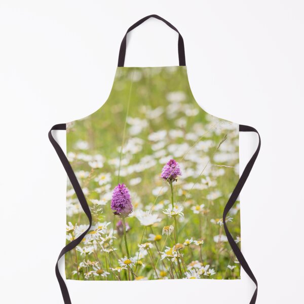 Item preview, Ox-eye Daisies ( Leucanthemum vulgare ) and Pyramidal Orchids ( Anacamptis pyramidalis ) in a Suffolk wild flower meadow designed and sold by ccullen222.
