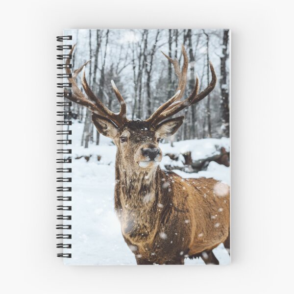 Item preview, Beautiful Male Deer Standing On Snow designed and sold by ArtistPlayStore.