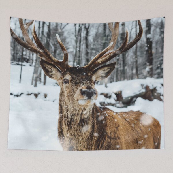 Item preview, Beautiful Male Deer Standing On Snow designed and sold by ArtistPlayStore.