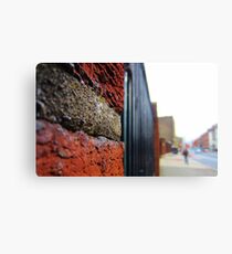 Streetview Canvas Print