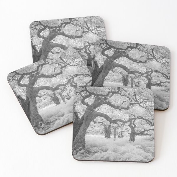 Item preview, Staverton Thicks designed and sold by ccullen222.