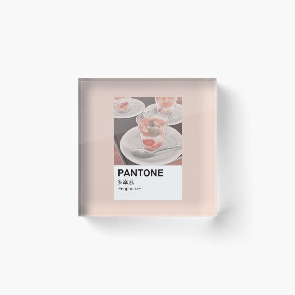 Copy of Pantone Aesthetic Anime Japanese Vintage Acrylic Block