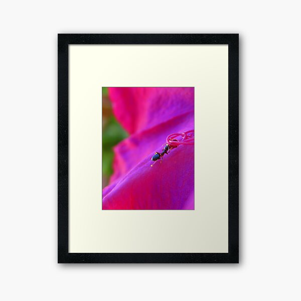 Item preview, Abuelita's Garden Ant designed and sold by Michelle McCullough.