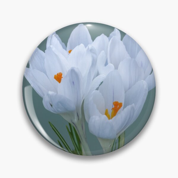 Item preview, White crocuses designed and sold by M G  Pettett.