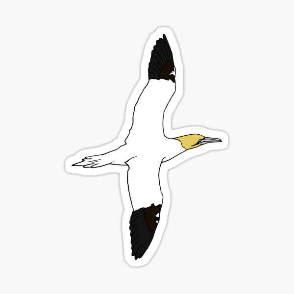 Northern Gannet Flying left to right Sticker
