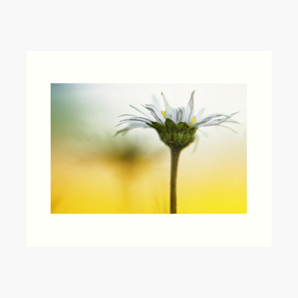 Item preview, A bit of sunlight.... designed and sold by Bob Daalder Photography.
