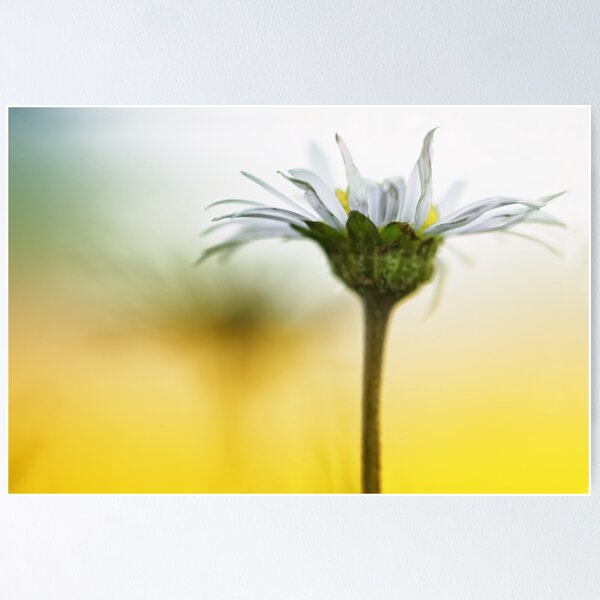 Item preview, A bit of sunlight.... designed and sold by Bob Daalder Photography.