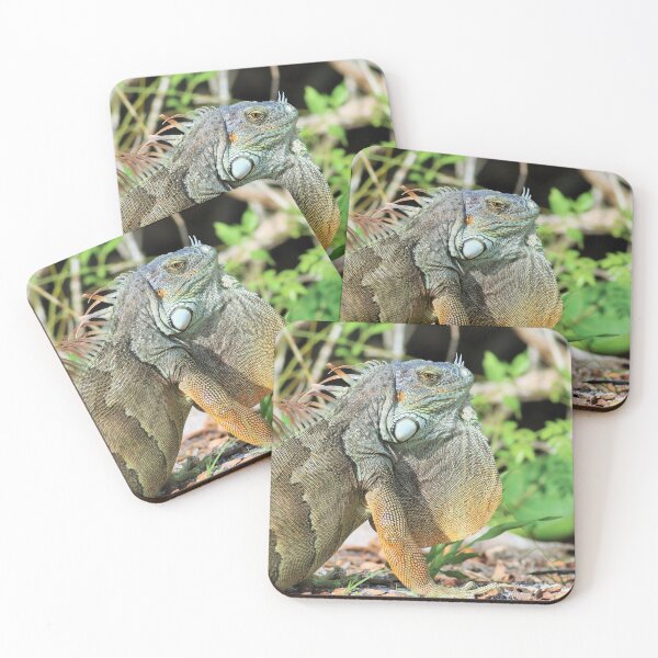Item preview, Iguana on the Island II designed and sold by Michiale.