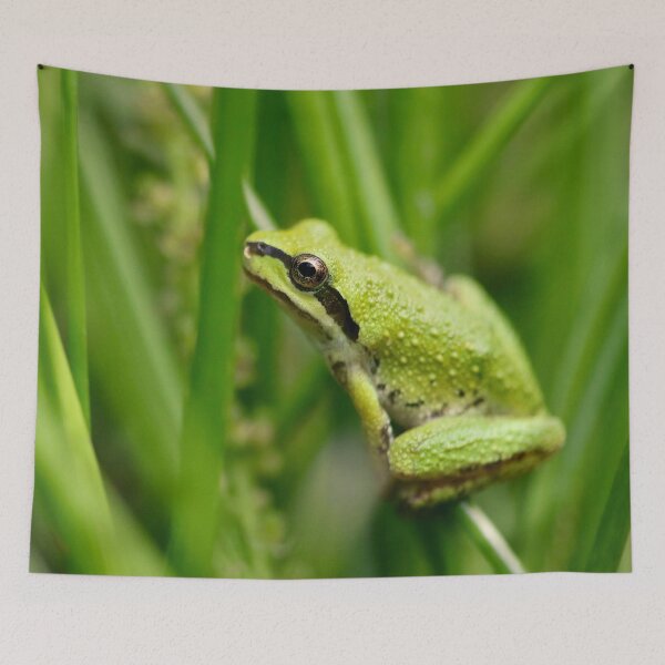 Item preview, Green Tree Frog on Blades of Grass designed and sold by KsbAesthetics.