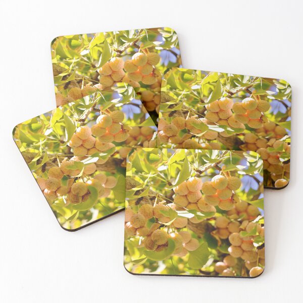 Item preview, Ginkgo Tree with Fruit designed and sold by KsbAesthetics.