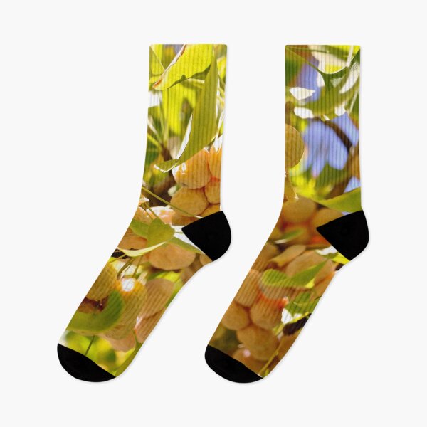 Item preview, Ginkgo Tree with Fruit designed and sold by KsbAesthetics.