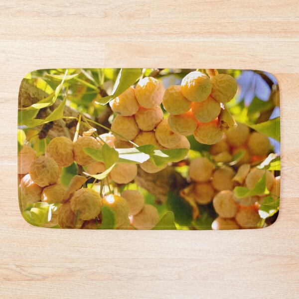 Item preview, Ginkgo Tree with Fruit designed and sold by KsbAesthetics.