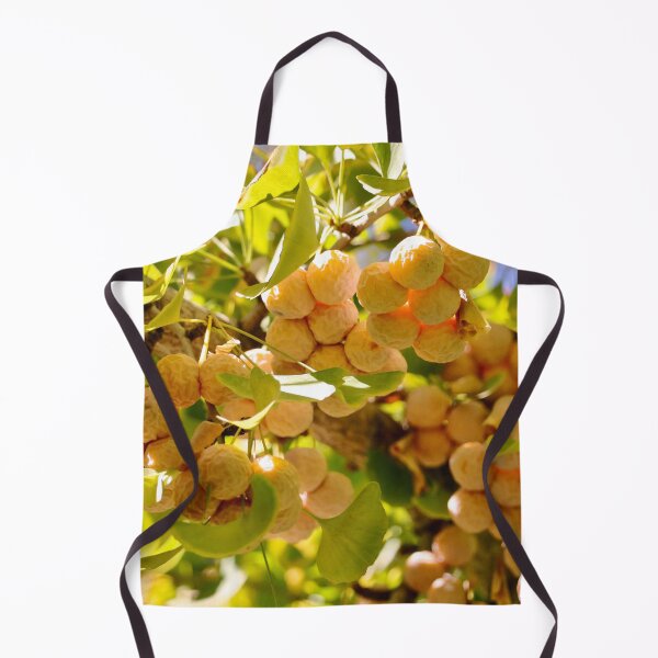Item preview, Ginkgo Tree with Fruit designed and sold by KsbAesthetics.