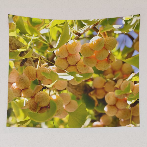 Item preview, Ginkgo Tree with Fruit designed and sold by KsbAesthetics.