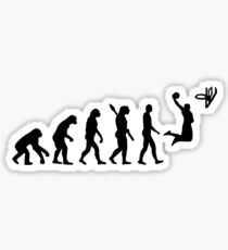 Evolution Basketball Sticker