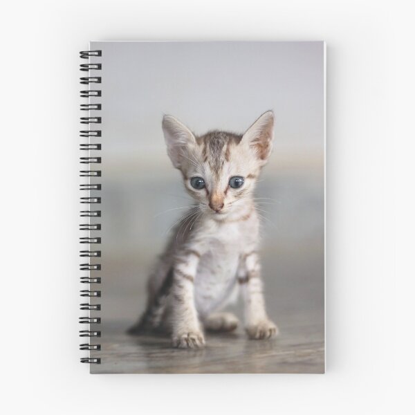 Item preview, Kitten designed and sold by Vinod Kumar M.