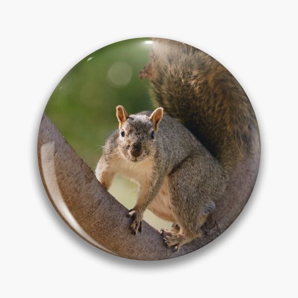 Item preview, Squirrel in a Tree designed and sold by KsbAesthetics.