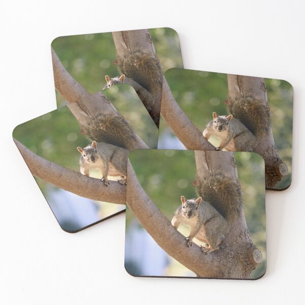 Item preview, Squirrel in a Tree designed and sold by KsbAesthetics.