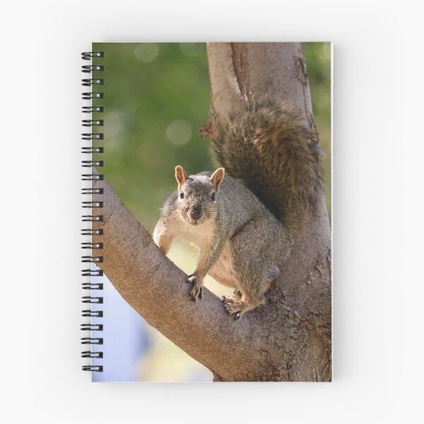 Item preview, Squirrel in a Tree designed and sold by KsbAesthetics.