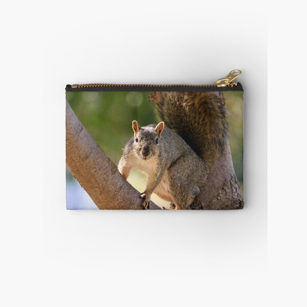 Item preview, Squirrel in a Tree designed and sold by KsbAesthetics.