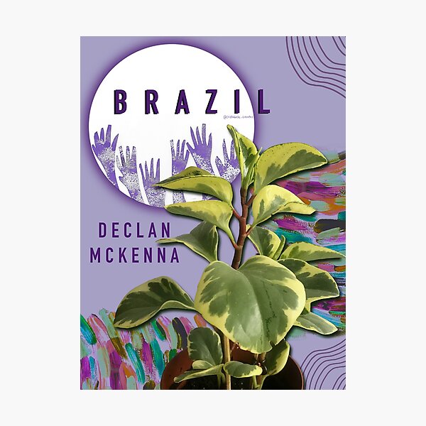 Brazil by Declan Mckenna Photographic Print
