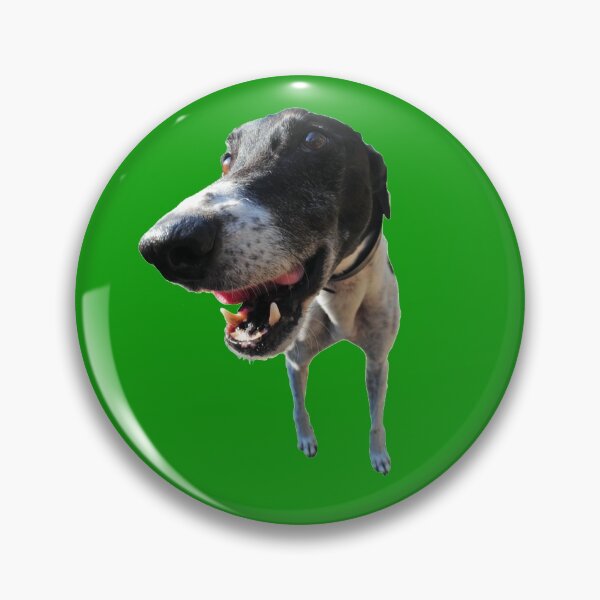 Artikelvorschau, Barney Diggered entworfen und verkauft von Buddy-the-Muddy.