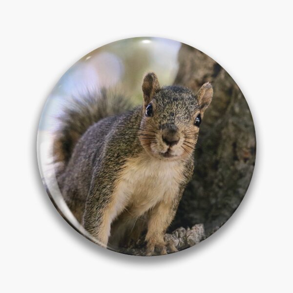 Item preview, Curious Squirrel in a Tree designed and sold by KsbAesthetics.