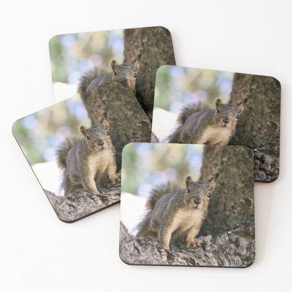 Item preview, Curious Squirrel in a Tree designed and sold by KsbAesthetics.