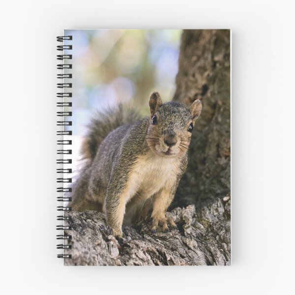 Item preview, Curious Squirrel in a Tree designed and sold by KsbAesthetics.