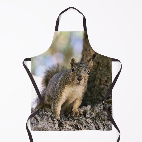Item preview, Curious Squirrel in a Tree designed and sold by KsbAesthetics.
