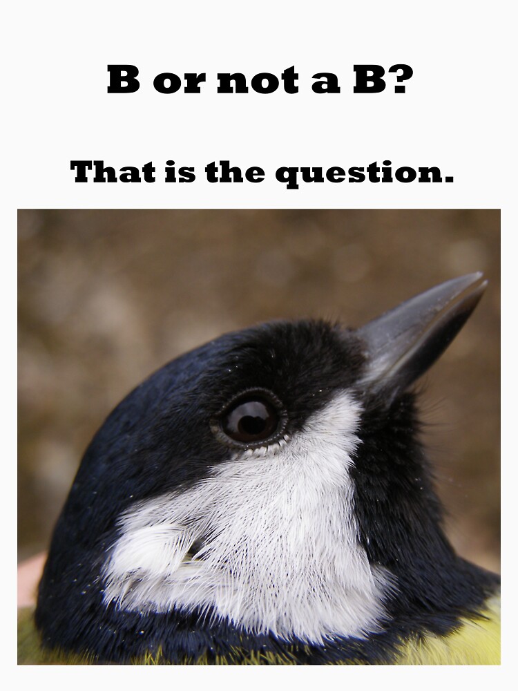 B or not a B? Great Tit dilemma ( dark print ) by Merlin13