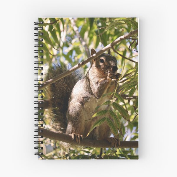 Item preview, Squirrel Eating Nut in Tree designed and sold by KsbAesthetics.