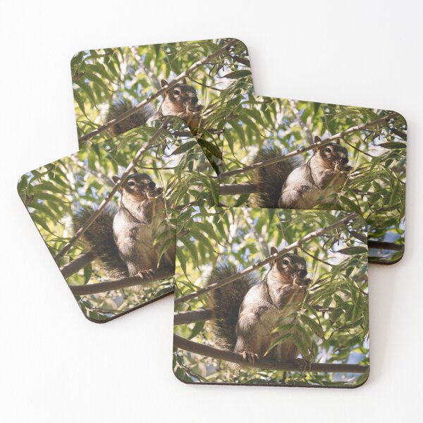 Item preview, Squirrel Eating Nut in Tree designed and sold by KsbAesthetics.