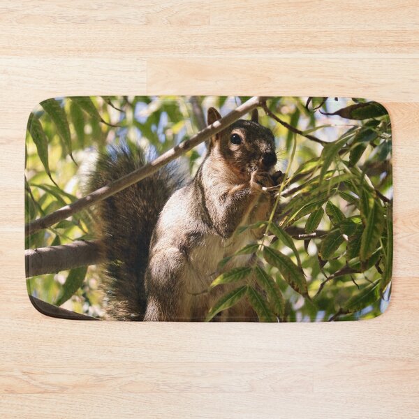 Item preview, Squirrel Eating Nut in Tree designed and sold by KsbAesthetics.