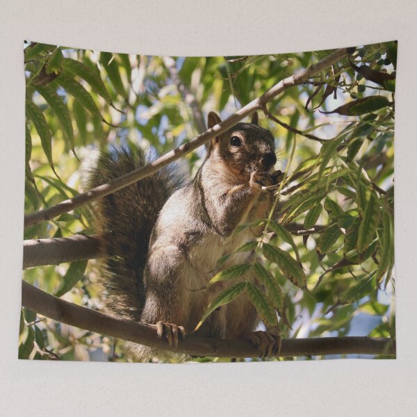 Item preview, Squirrel Eating Nut in Tree designed and sold by KsbAesthetics.