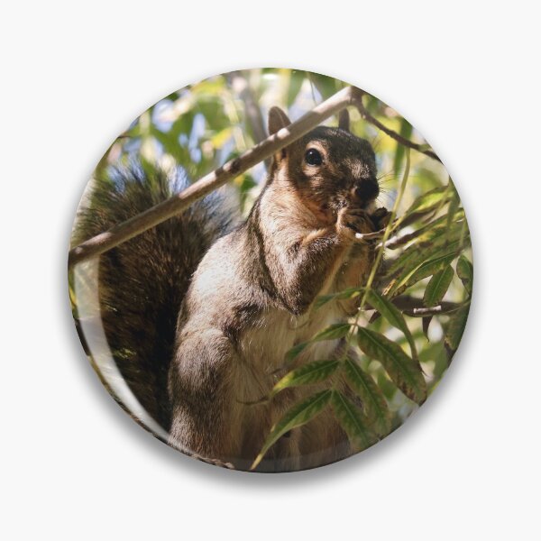 Item preview, Squirrel Eating Nut in Tree designed and sold by KsbAesthetics.
