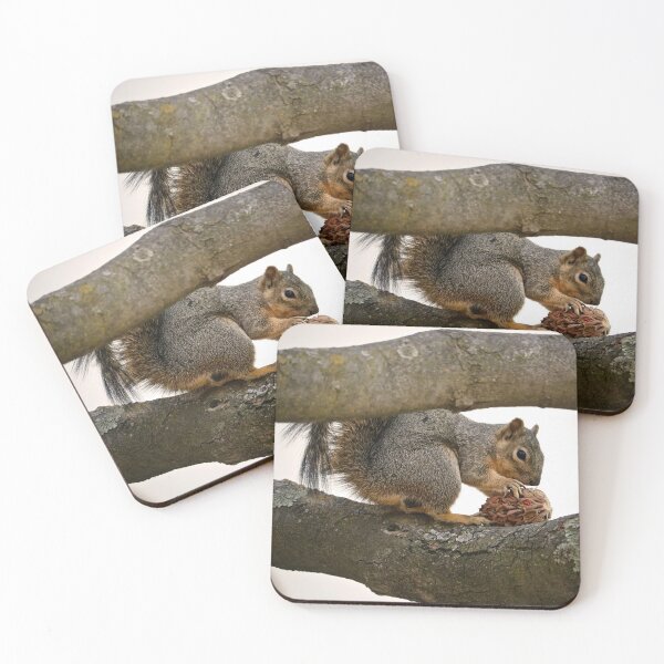 Item preview, Squirrel Eating on a Tree Branch designed and sold by KsbAesthetics.