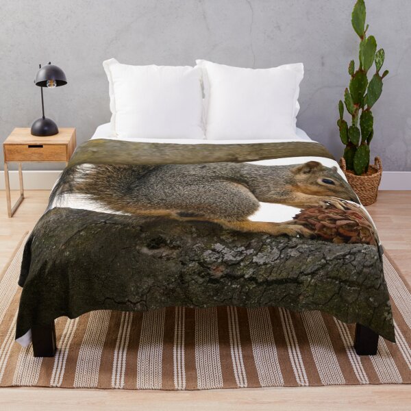 Item preview, Squirrel Eating on a Tree Branch designed and sold by KsbAesthetics.