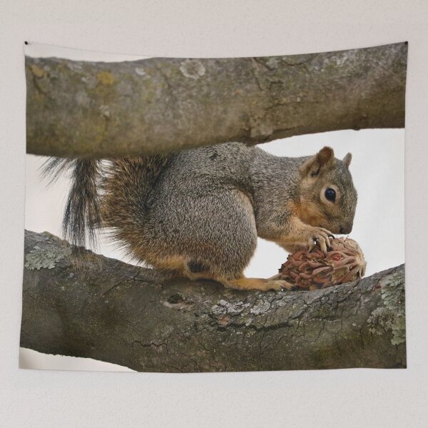 Item preview, Squirrel Eating on a Tree Branch designed and sold by KsbAesthetics.