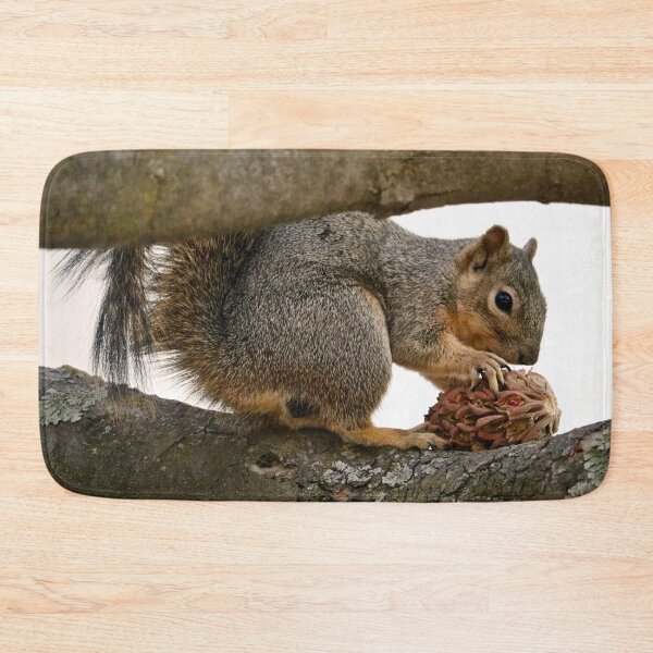 Item preview, Squirrel Eating on a Tree Branch designed and sold by KsbAesthetics.