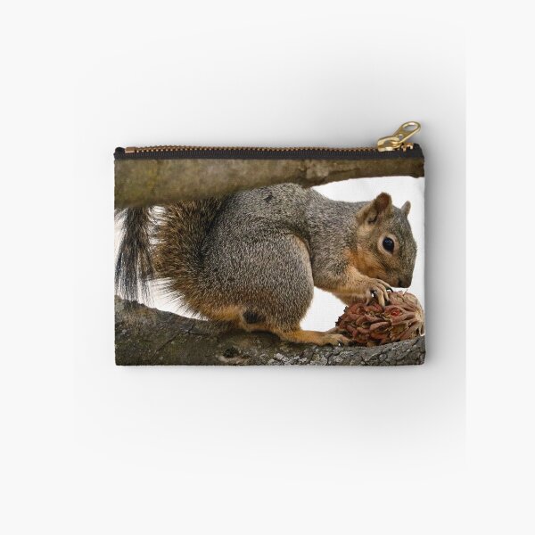 Item preview, Squirrel Eating on a Tree Branch designed and sold by KsbAesthetics.