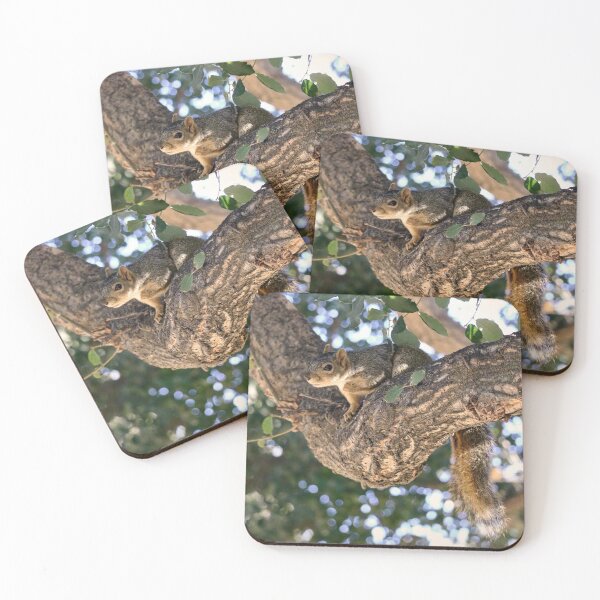 Item preview, Squirrel on a Tree Branch designed and sold by KsbAesthetics.