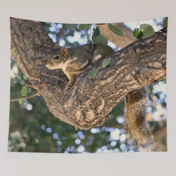 Item preview, Squirrel on a Tree Branch designed and sold by KsbAesthetics.