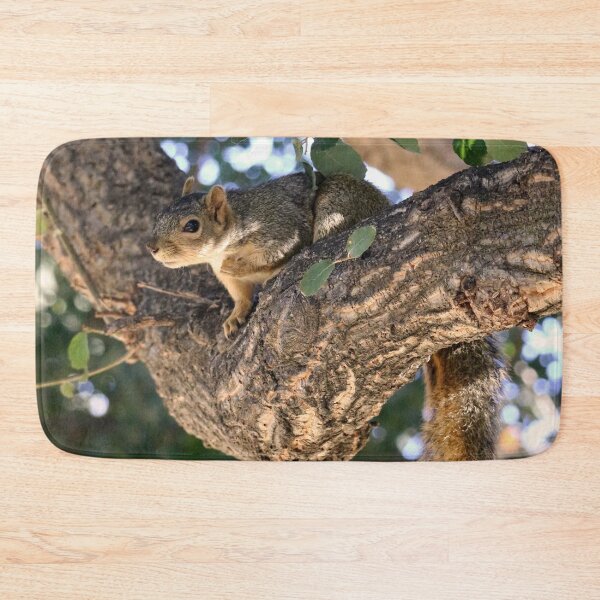 Item preview, Squirrel on a Tree Branch designed and sold by KsbAesthetics.