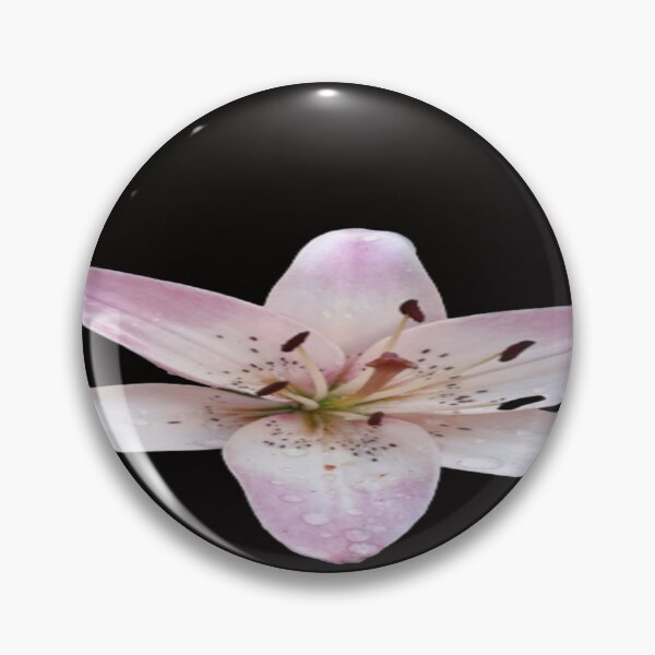 Item preview, Light Pink and White Star Lilly designed just for you by LisetteV designed and sold by Vero De.