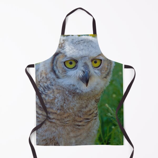 Item preview, Canadian Horned Owl Chick in the meadow designed and sold by Dalyndigital Photography.